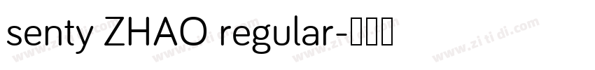 senty ZHAO regular字体转换